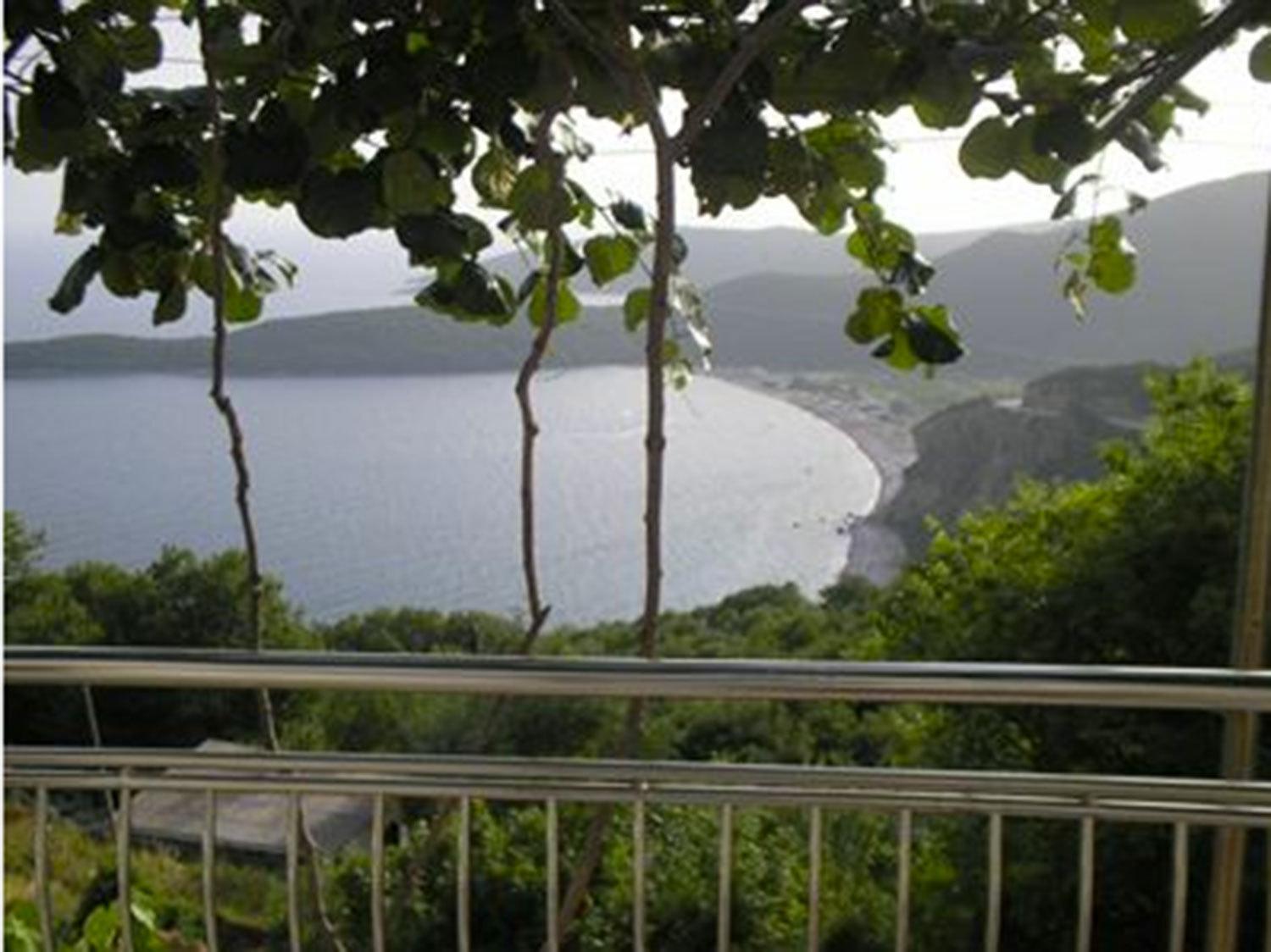 Apartments Nikvik Budva Cameră foto